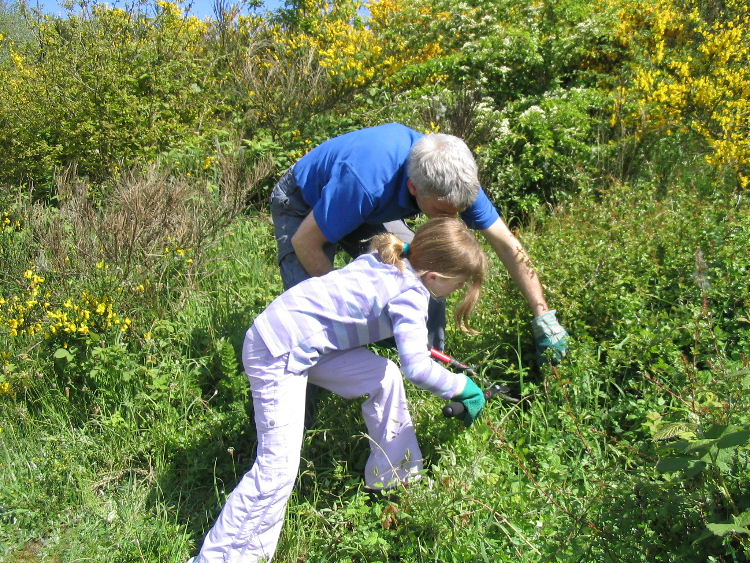 A young volunteer
