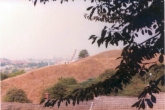 1984 Photo by Vernon