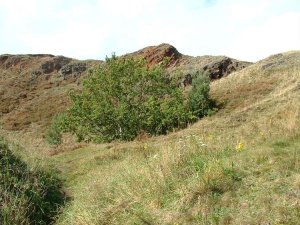 Pennant Sandstone