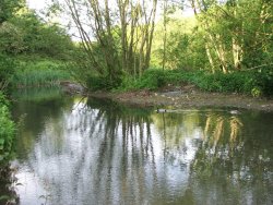 Manor Woods Valley LNR