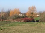 Winter colour at the entrance to Troopers Hill Field