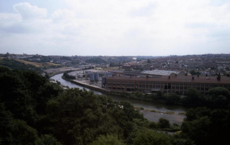 Board Mills copyright Jonathan Lane