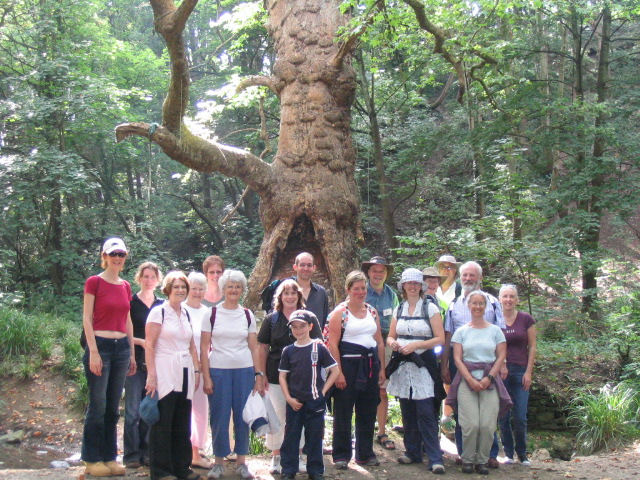 Avon Valley Walk 2007