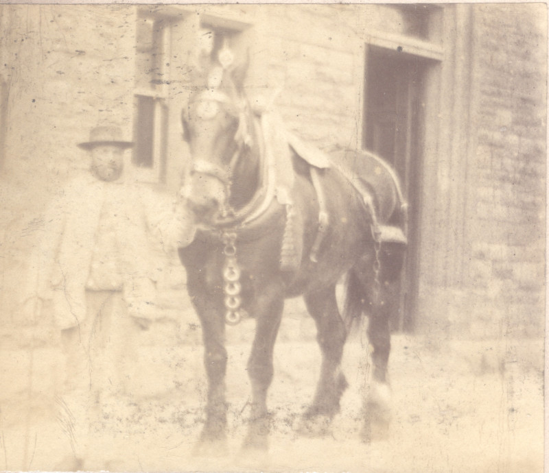 Working Horse 1890s