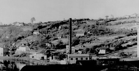 The area of Troopers Hill Woods in 1953