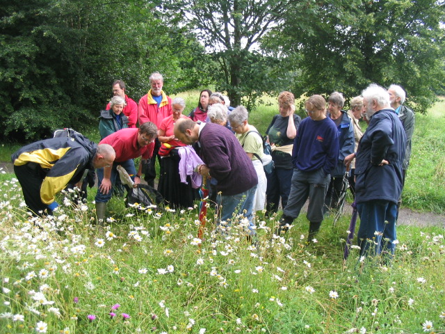 Meadow Magic at Badocks Wood