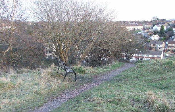 Bench installed Jan 2010