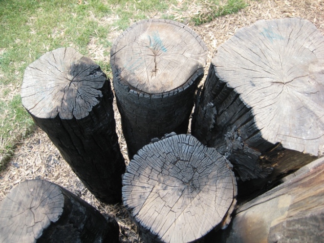 burnt climbing logs 2.jpg