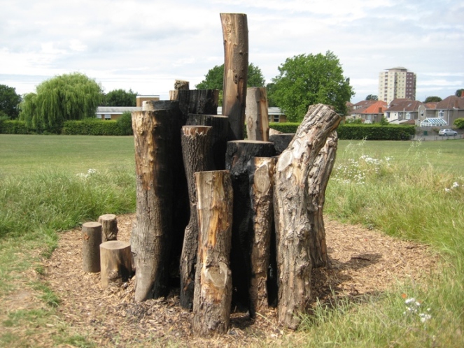 burnt climbing logs 2.jpg